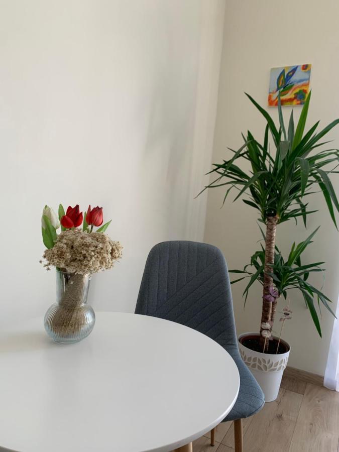 Apartament Vilagos, Kellemes Lakas, Jo Koezlekedessel *